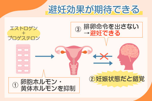 ピルを飲むと避妊効果が期待できる